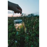  Sonnenglas® Classic (Solarlampe)Genereation 6 NEW