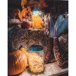  Sonnenglas® Classic (Solarlampe)Genereation 6 NEW